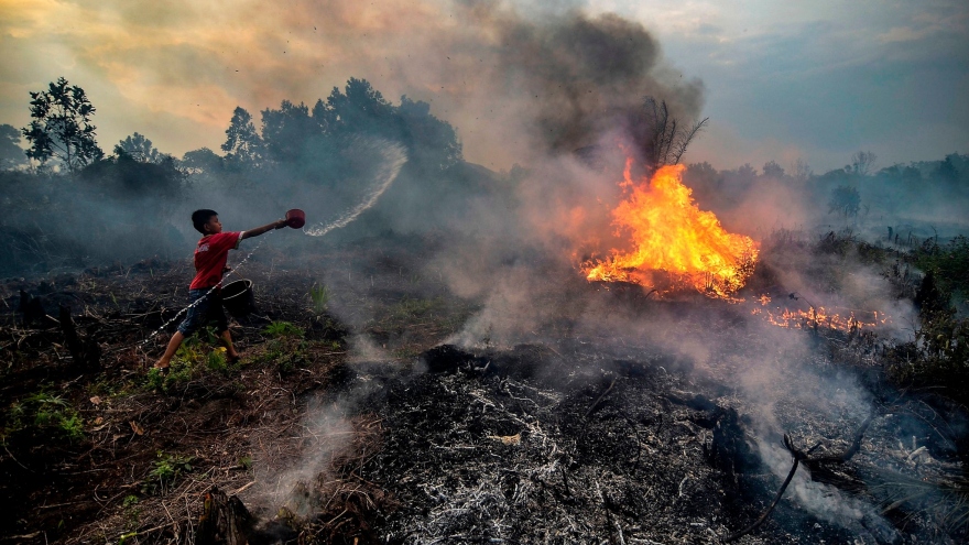 Malaysia đổ lỗi cho cháy rừng tại Indonesia làm ô nhiễm không khí